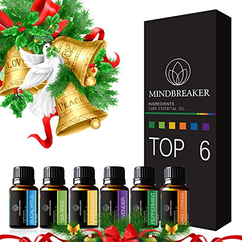 Aceites Esenciales aromaterapia Set incluye parte superior 6 Set de regalo: lavanda, Naranja Dulce, menta, árbol de té, citronela, eucalyptus-100% Pure