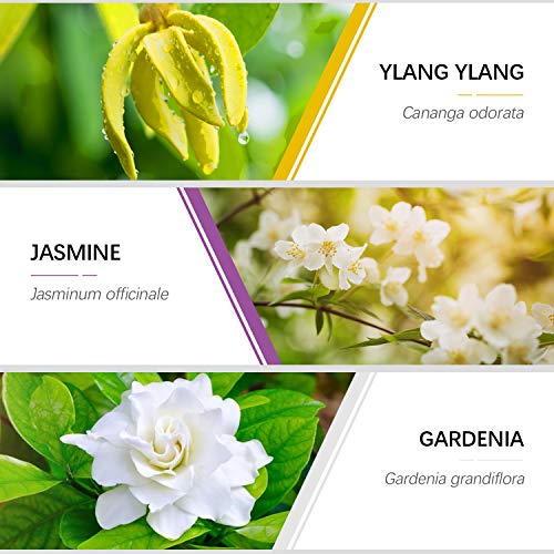 Aceites Esenciales Naturales ESSLUX Flores Aceites Esenciales Para Humidificador Difusor Top 6 Set 100% Natural Puro (rosa, ylang ylang, jazmín, gardenia, cerezo, té blanc)