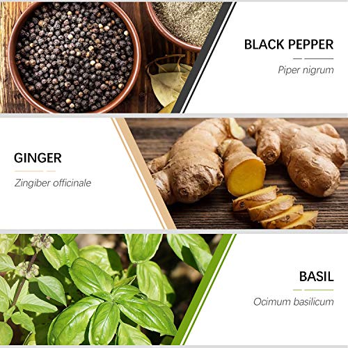 Aceites Esenciales Naturales, ESSLUX Spicy Aceites Esenciales Para Humidificador Difusor 6x10 ML Set 100% Puro - Pimienta negra, Canela, Mejorana, Jengibre, Anís estrellado, Albahaca
