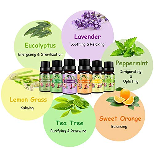 Aceites Esenciales para Humidificador Aceite Esencial 100% Naturales Puro Aromaterapia Esencias para Humidificador-6x10ml Set Lavanda, Eucalipto, Limoncillo, Árbol de Té, Menta, Naranja Dulce