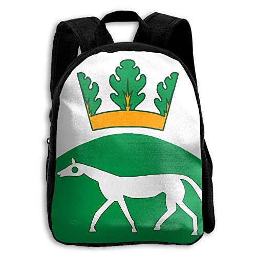 ADGBag The Flag Institute Print A Durable Kid's Mini BackpackShoulder Bags School Book Travel Backpack Mochila para niños