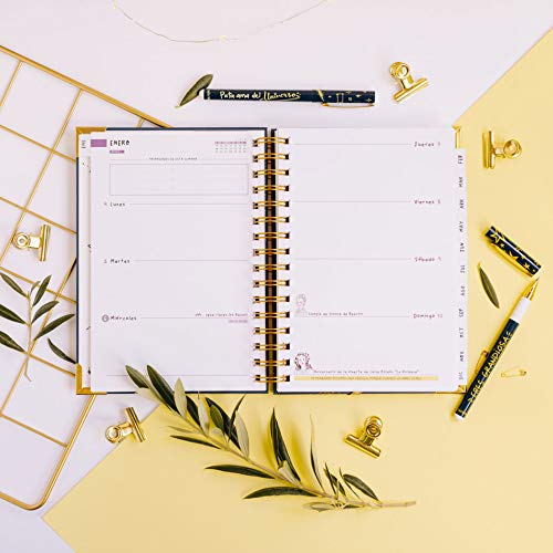 Agenda 2021 semana vista - Pedrita Parker