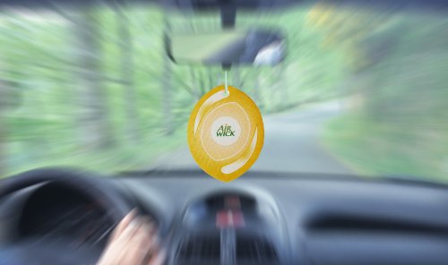 Air Wick 070010 de con Aroma, Vainilla, Especias