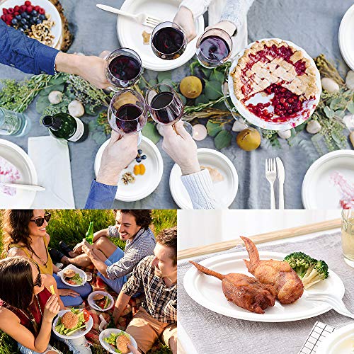 Aitsite Juego de Vajilla Desechable de 250 Piezas, Vajilla Ecológica Incluye 50 Platos de Papel Biodegradables, Tenedores, Cuchillos y Cucharas Combo para Fiesta, Camping, Picnic (Blanco)