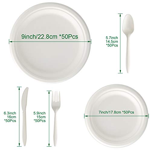 Aitsite Juego de Vajilla Desechable de 250 Piezas, Vajilla Ecológica Incluye 50 Platos de Papel Biodegradables, Tenedores, Cuchillos y Cucharas Combo para Fiesta, Camping, Picnic (Blanco)