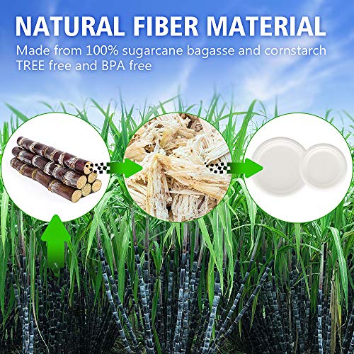 Aitsite Juego de Vajilla Desechable de 250 Piezas, Vajilla Ecológica Incluye 50 Platos de Papel Biodegradables, Tenedores, Cuchillos y Cucharas Combo para Fiesta, Camping, Picnic (Blanco)