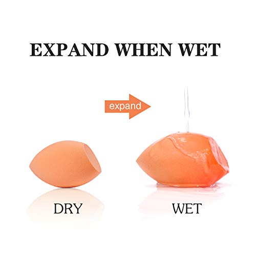 AMMIY 5 Unidades Esponja Maquillaje, Set de Makeup Blender Beauty para Base de Maquillaje, Ideal para Líquidos, Cremas y Polvos