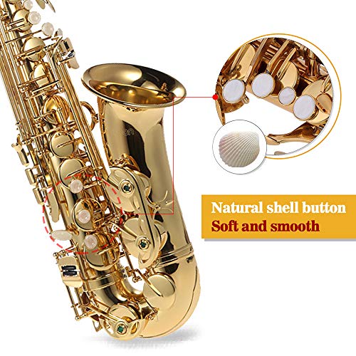 ammoon bE Alto Saxofon, Latón Lacado Oro E Flat Sax 802 Clave Tipo de Viento de Madera Instrumento