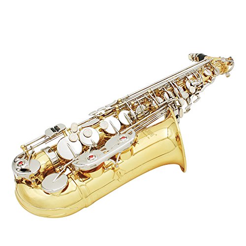 ammoon LADE Saxofón Alto Saxófono Latón Brillante Grabado Eb E-Flat Botón de Shell Blanco Natural Instrumento de Viento con los Guantes Caso Mute Paño de Limpieza Grasa Cepillo de Banda