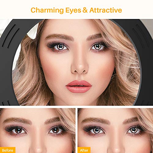 Anozer 10'' LED Anillo de Luz con Trípode Metal para Escritorio &Mejor Soporte de teléfono, Luz de 3 Colores y 10 Brillos para Selfies,transmisión en Vivo,Videoconferencia,Youtube, Maquillaje,Tiktok