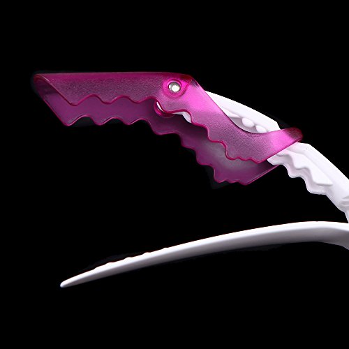 Anself Set de 10 Pcs Clips de ccdrilo de peluquería profesional plástico seccionamiento pinza de cabello peinado pelo