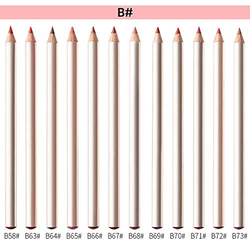 Apofly 1 Set Delineador De Labios 12 Colores Mate Impermeable Del Labio Del Lápiz Con El Maquillaje Caja De Almacenamiento Diario Para Las Mujeres (b)