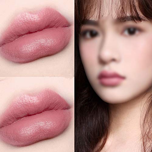 Apofly 2-en-1 Lápiz Labial Lápiz Delineador De Labios Doble Extremo Lasting Perfilador Impermeable Delineador De Labios Palillo De Lápiz Delineador Para Muchacha De Las Mujeres (06) 1 Set