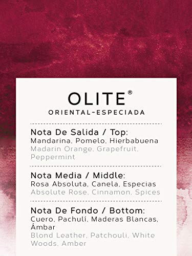 AROMAS ARTESANALES - Eau de Parfum Olite | Perfume con vaporizador para hombres | Fragancia Masculina 100 ml | Distintos Aromas - Encuentra el tuyo Aquí