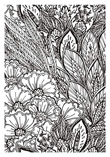 Arte antiestrés: 100 láminas para colorear (Libro de colorear para adultos)