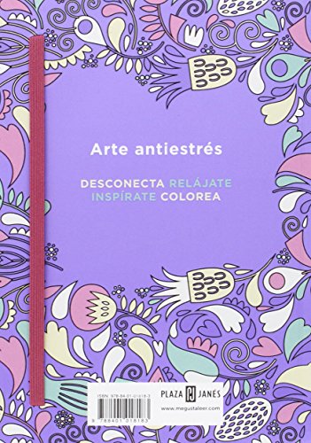 Arte antiestrés: 100 láminas para colorear (Libro de colorear para adultos)