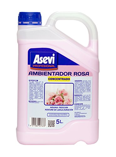 Asevi Profesional 20763 - Ambientador rosa concentrado, 5 l