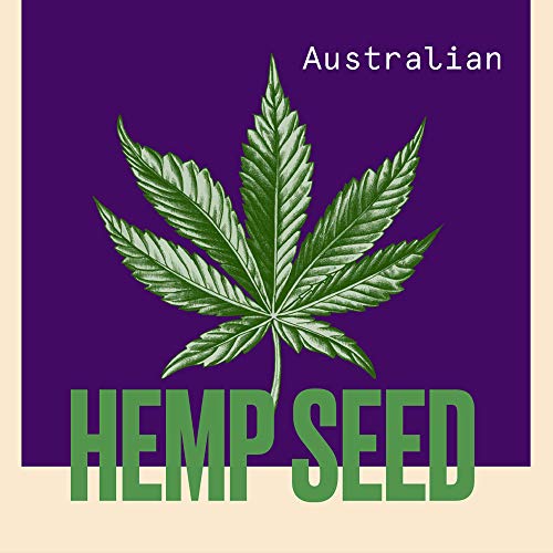 Aussie Nourish Spray Desenredante 250 ml, para Pelo que Necesita Nutrición