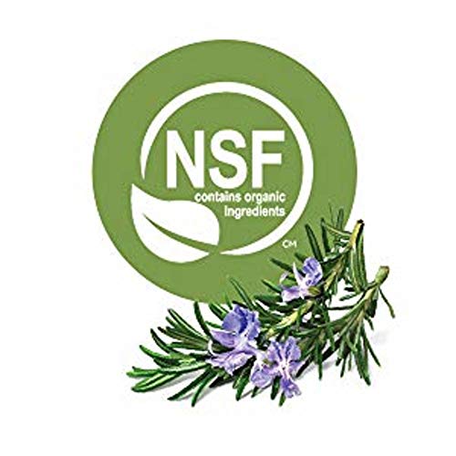 AVALON - Nourishing Lavender Bath and Shower Gel - 32 fl. oz. (946 ml)