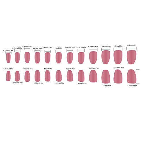 Beashine Falsa uña, Fake Nails, Elegant Touch French Manicure Fake Nails, Tamaños Ovales de Uñas Falsas Estilo Acrílico Artificial Fake Art Nails, 24 Uñas de Arte de de DIY (P389 Color Arena Arena)