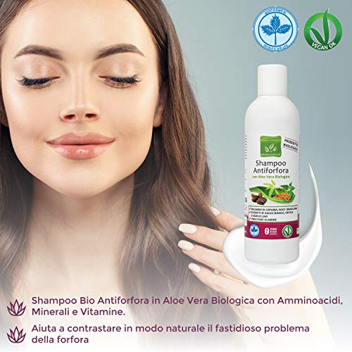 Benessence - CHAMPÚ ANTICASPA Orgánico en Aloe Vera Orgánico - 250 ml