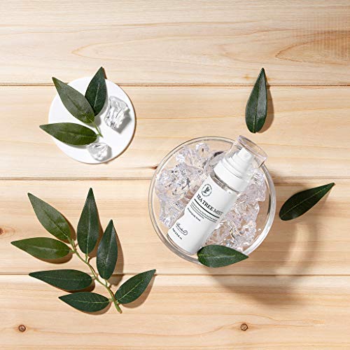 BENTON Niebla de arbol de te 42W * 42L * 142H (mm)