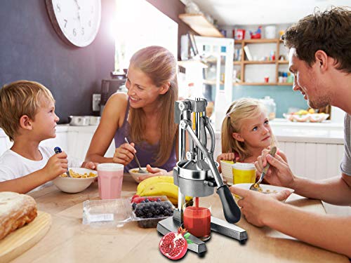 Beper-Exprimidor de granadas y cítricos de palanca manual,Acero inoxidable y aluminio fundido a presión,Gris