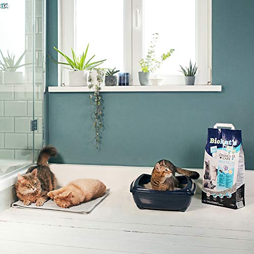 Biokat’s Diamond Care Multicat Fresh, arena para gatos con fragancia – Arena aglomerante libre de polvo, con carbón activo y fragancia a flor de algodón – 1 bolsa de papel (1 x 8 l)