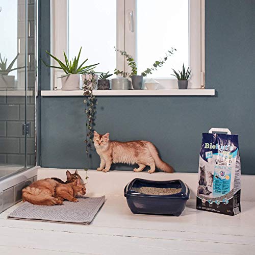 Biokat’s Diamond Care Multicat Fresh, arena para gatos con fragancia – Arena aglomerante libre de polvo, con carbón activo y fragancia a flor de algodón – 1 bolsa de papel (1 x 8 l)