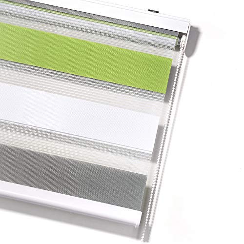 Blindecor Lira Estor Enrollable Doble Tejido, Noche y día,Tricolor 160 x 180 cm, Color Gris Pistacho, Poliéster