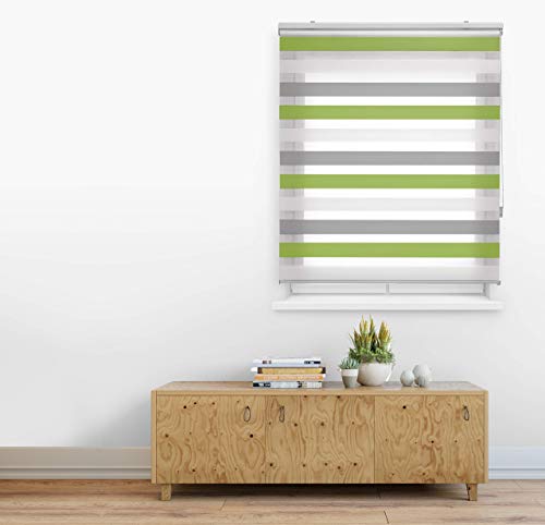 Blindecor Lira Estor Enrollable Doble Tejido, Noche y día,Tricolor 160 x 180 cm, Color Gris Pistacho, Poliéster