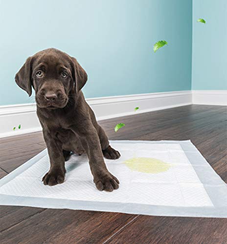 BPS® Empapadores de Entrenamiento para Perros Gatos Perfumes con Feromonas para Atraer los Cachorros y Simplificar el Entrenamiento (40pcs 60 * 60 cm) BPS-2167 * 2