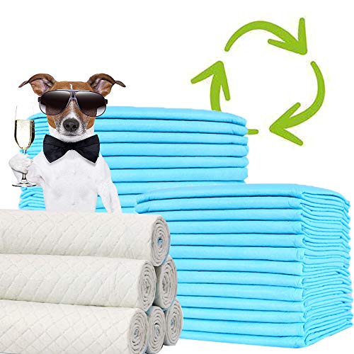 BPS® Empapadores de Entrenamiento para Perros Gatos Perfumes con Feromonas para Atraer los Cachorros y Simplificar el Entrenamiento (40pcs 60 * 60 cm) BPS-2167 * 2