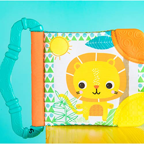 Bright comienza con Teethe y Read (los colores pueden variar)