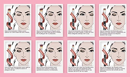 Brochas para Maquillaje de Ojos - Kit de Brochas para Sombras, Delineado, Difuminado - La Mejor Elección Esencial de 7 Piezas - Lápiz, Sombreado, Cónico, Definidor - Fibras Veganas Sintéticas
