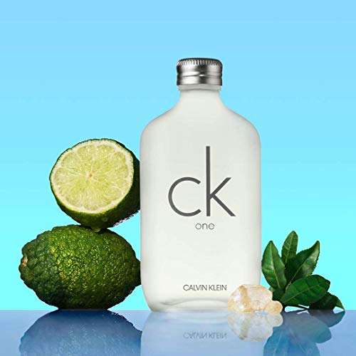 CALVIN KLEIN CK ONE agua de tocador vaporizador 100 ml