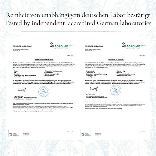 Cápsulas de Ácido Hialurónico Altas Dosis Analizado en Laboratorios - 350mg puro + Vitamina C B12 Zinc Biotina Niacina Selenio | Antiedad Piel Cabello | Vegano sin Estearato de Magnesio | Alemania