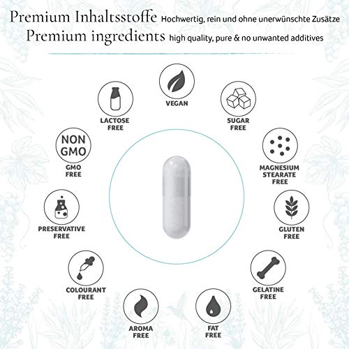 Cápsulas de Ácido Hialurónico Altas Dosis Analizado en Laboratorios - 350mg puro + Vitamina C B12 Zinc Biotina Niacina Selenio | Antiedad Piel Cabello | Vegano sin Estearato de Magnesio | Alemania