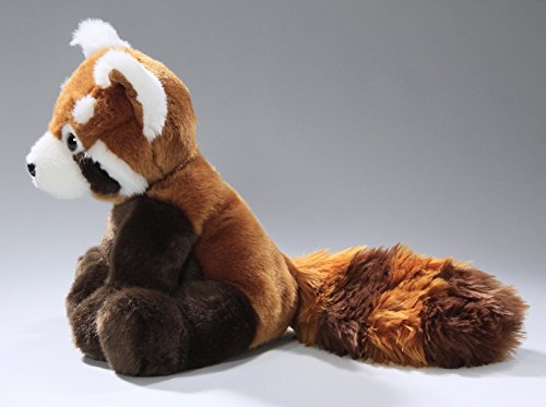 Carl Dick Peluche - Red Panda, Panda Rojo (Felpa, 25cm/37cm) [Juguete] 3155