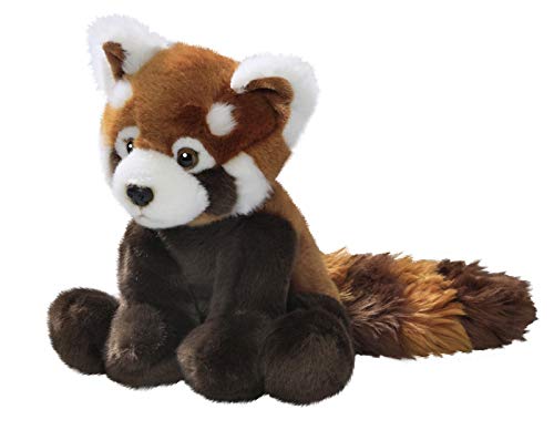Carl Dick Peluche - Red Panda, Panda Rojo (Felpa, 25cm/37cm) [Juguete] 3155