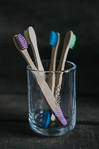 Cepillo de dientes de bambú orgánico para niños | Cuatro colores | Cerdas firmes de fibra de carbono | Mango 100% biodegradable | Cepillos de dientes veganos orgánicos | de Wild & Stone