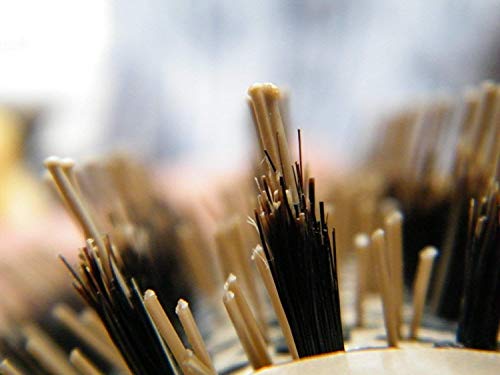 Cepillo Redondo con cerdas Naturales de Jabalí para secado del cabello, alisado, rizado - consiga salón con brillo y volumen (3,2 cm) - mejor cepillo volumizador para pelo corto o rizos que rebotan