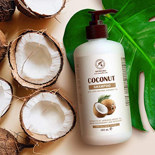 Champú de Coco 480 ml - con Aceite de Coco 100% Natural - Champú para Hidratación & Volumen - Sin Sulfatos ni Parabenos - Extractos de té Verde Japonés, Grosella Espinosa India y Romero