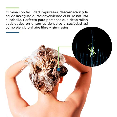 Champú Natural Hidratante Fortifizante Con Camomila | Sin Sulfatos, Parabenos y Siliconas | Para el Cabello de Hombres y Mujeres | Sin Detergentes Ni Químicos