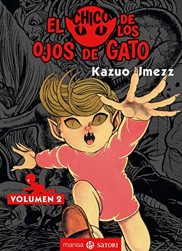 CHICO DE LOS OJOS DE GATO,EL 2 (MANGA SATORI)