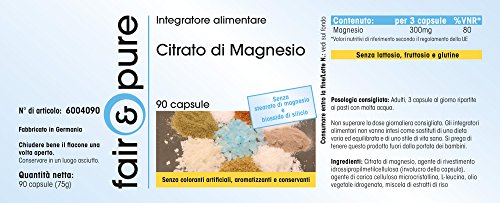 Citrato de Magnesio - Polvo en Cápsulas - 300mg de magnesio puro por dosis diaria - Orgánico - Vegano - Magnesium Citrate - 90 Cápsulas