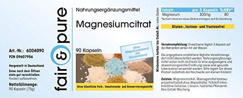 Citrato de Magnesio - Polvo en Cápsulas - 300mg de magnesio puro por dosis diaria - Orgánico - Vegano - Magnesium Citrate - 90 Cápsulas