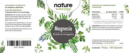 Citrato de Magnesio Premium 2580mg Alta dosificación - 400mg de Magnesio puro elemental + Vitamina B12 y B6 por dosis diaria- 180 cápsulas veganas sin aditivos- Fabricado en Alemania