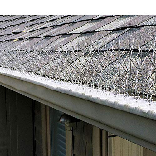 Coil.c - Juego de protectores antipalomas de acero inoxidable para paredes de vallas (50 cm, para mantener alejados a todos los pájaros), Ein, 6 unidades