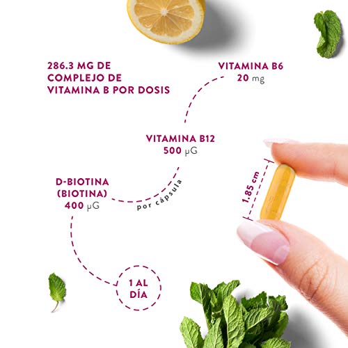 Complejo de Vitamina B - 180 Cápsulas para 6 Meses - 296,3 mg/Dosis Diaria - 8 Vitaminas B: B1, B2, B3, B5, B6, Biotina, B9 (Folato) y B12 - Refuerza el Metabolismo - 100% Vegano